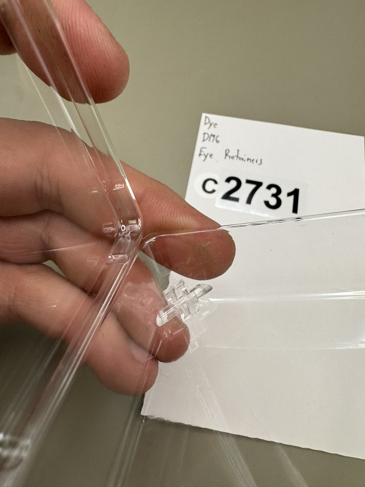Dye DM6 Eye Retainers