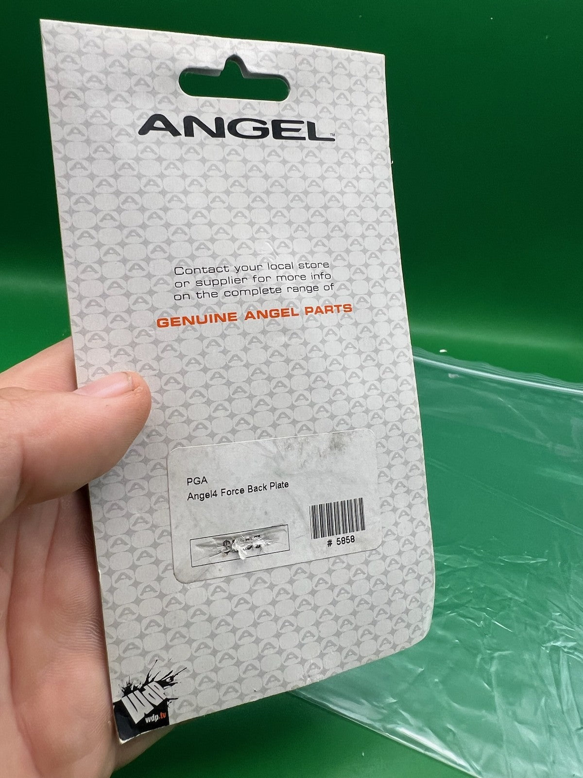 Angel Force Backplate NOS