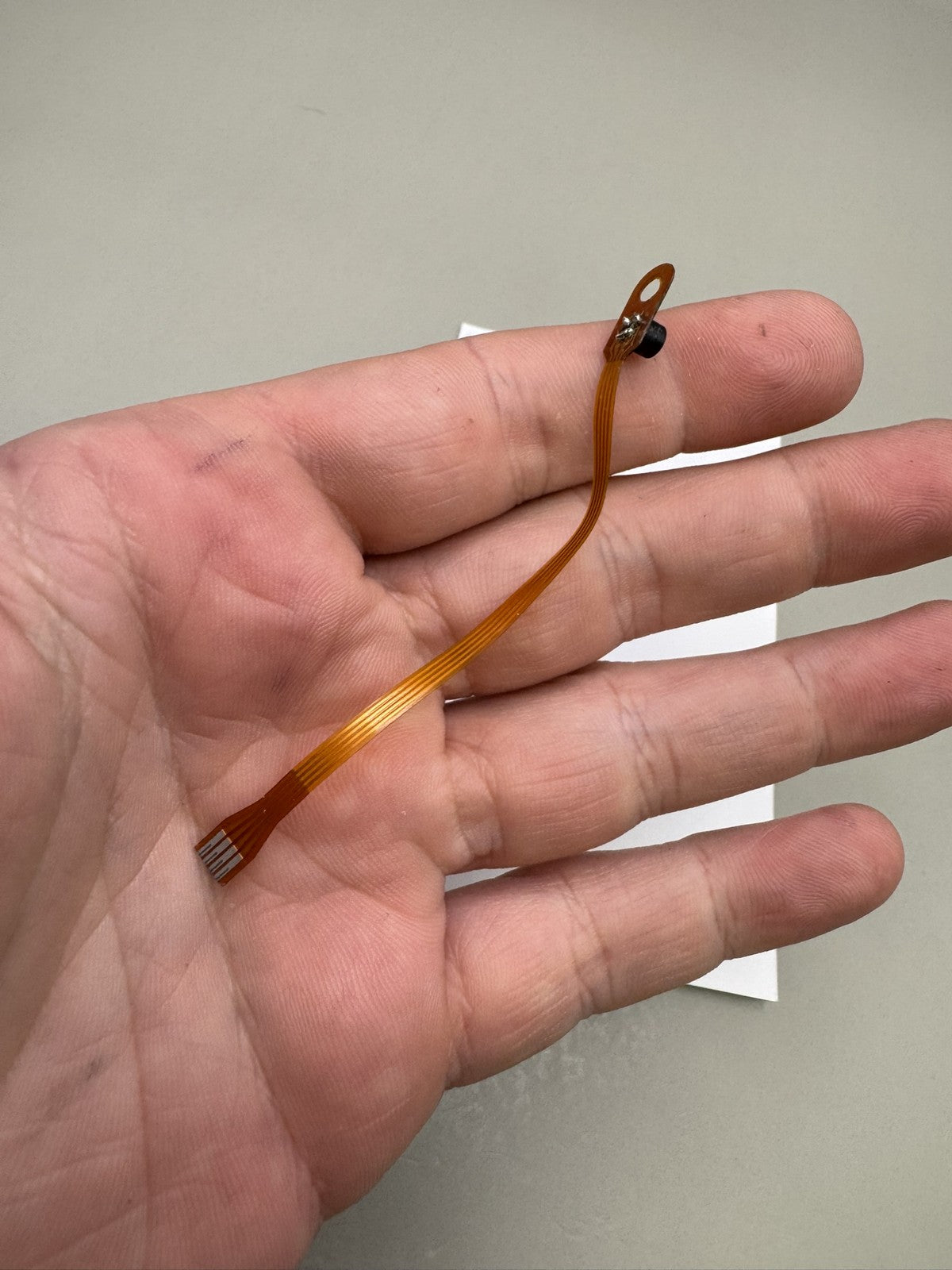 Smart Parts Shocker SFT Eye Wire