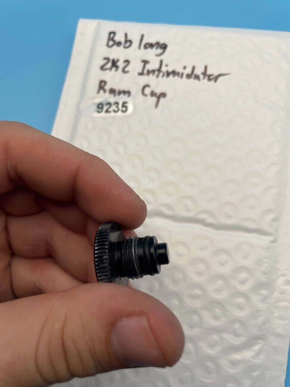 Bob Long 2K2 Intimidator Ram Cap