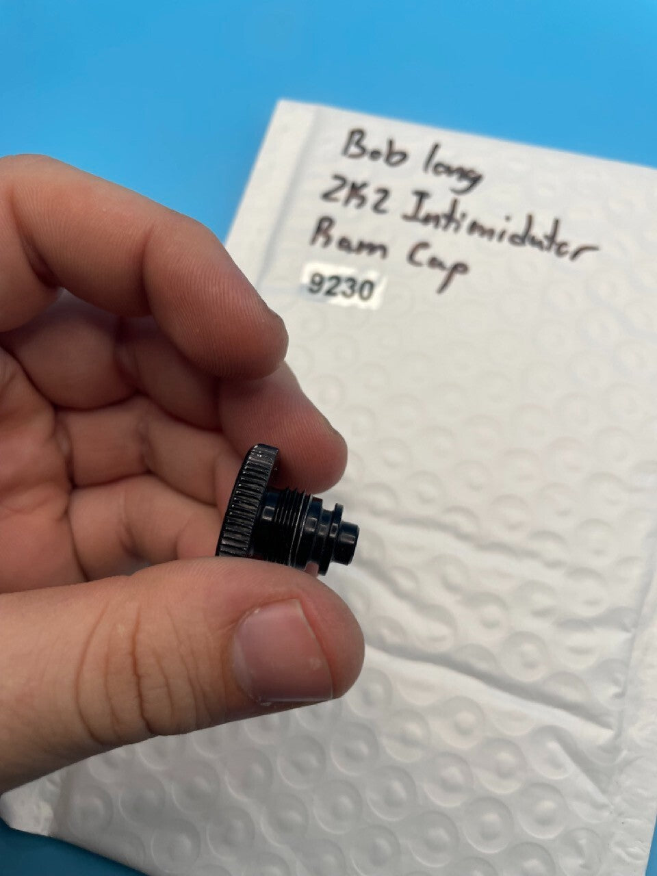 Bob Long 2K2 Intimidator Ram Cap