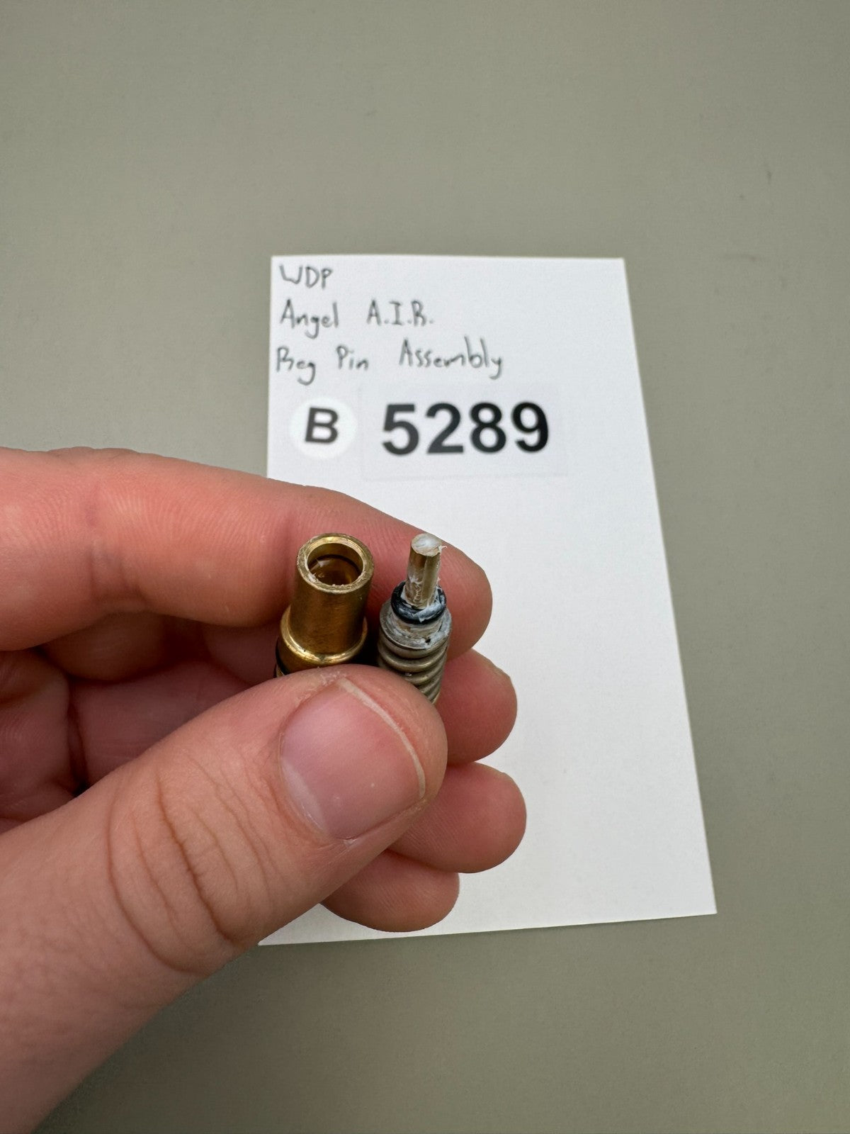 WDP Angel A.I.R Reg Pin Assembly