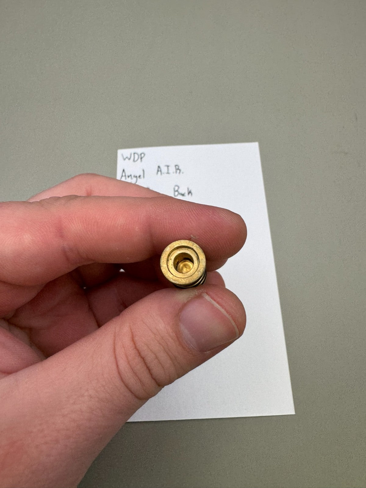 WDP Angel A.I.R Reg Pin Back