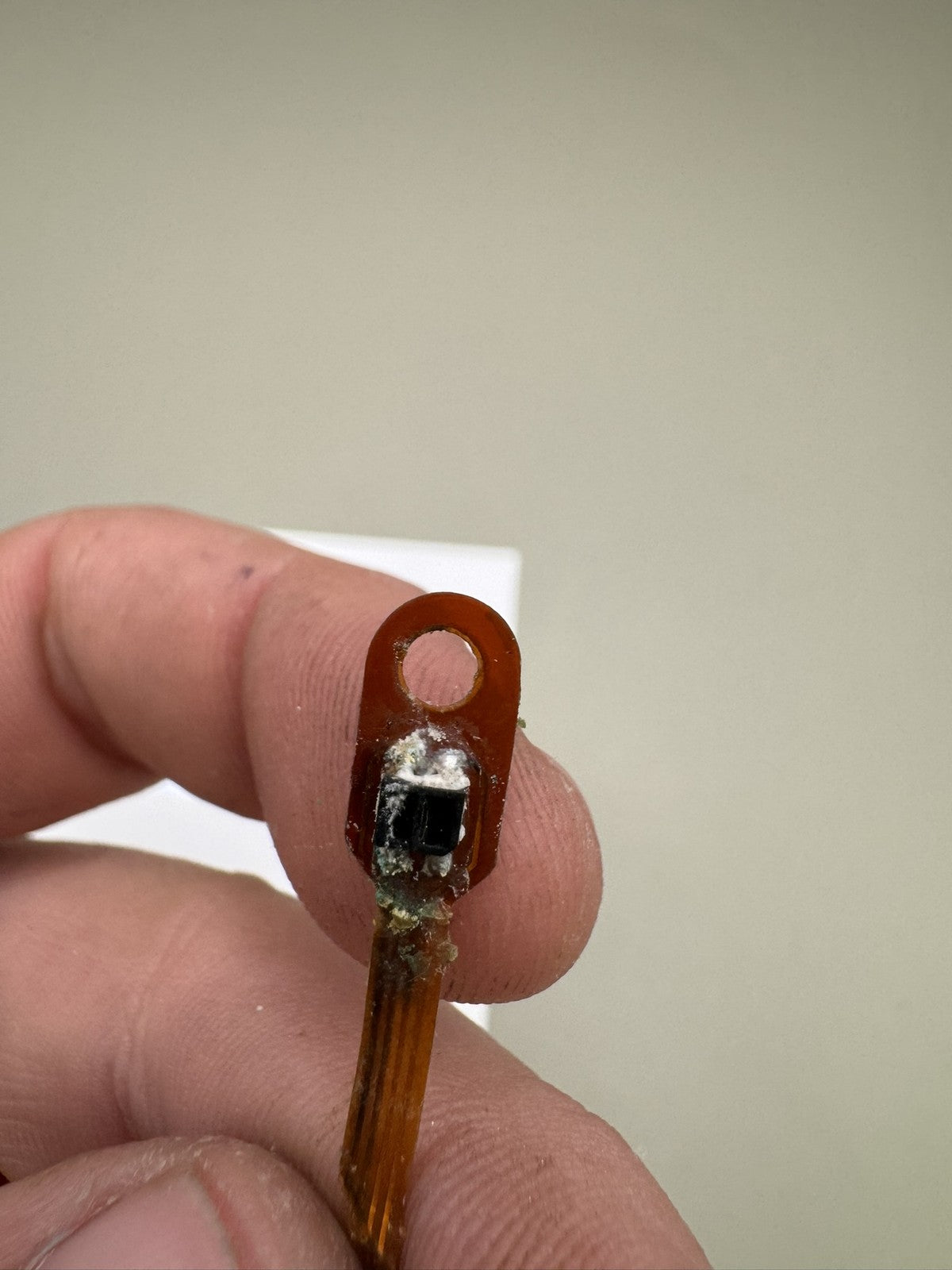 Smart Parts Nerve Eye