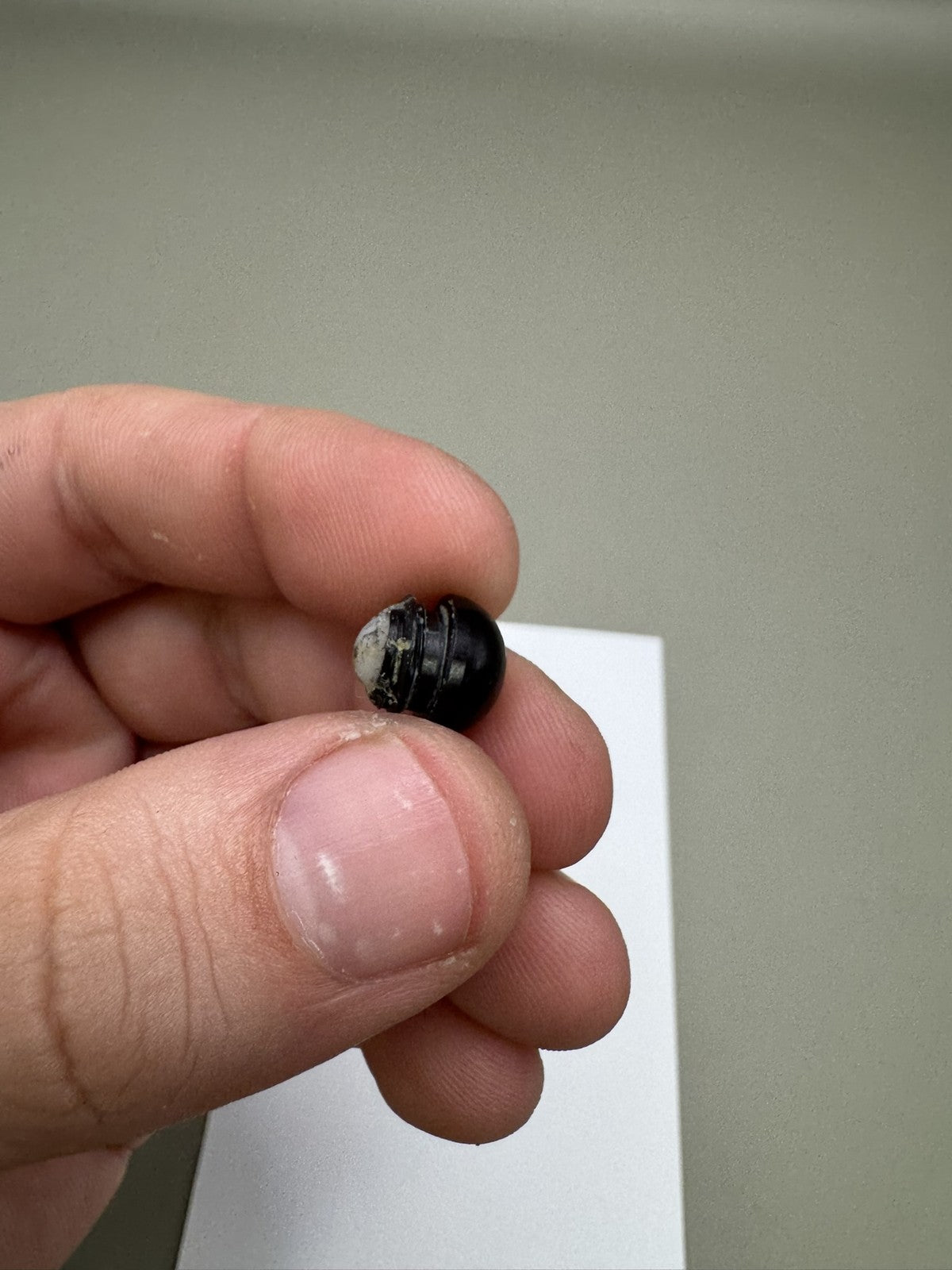 Smart Parts Impulse Tape Worm
