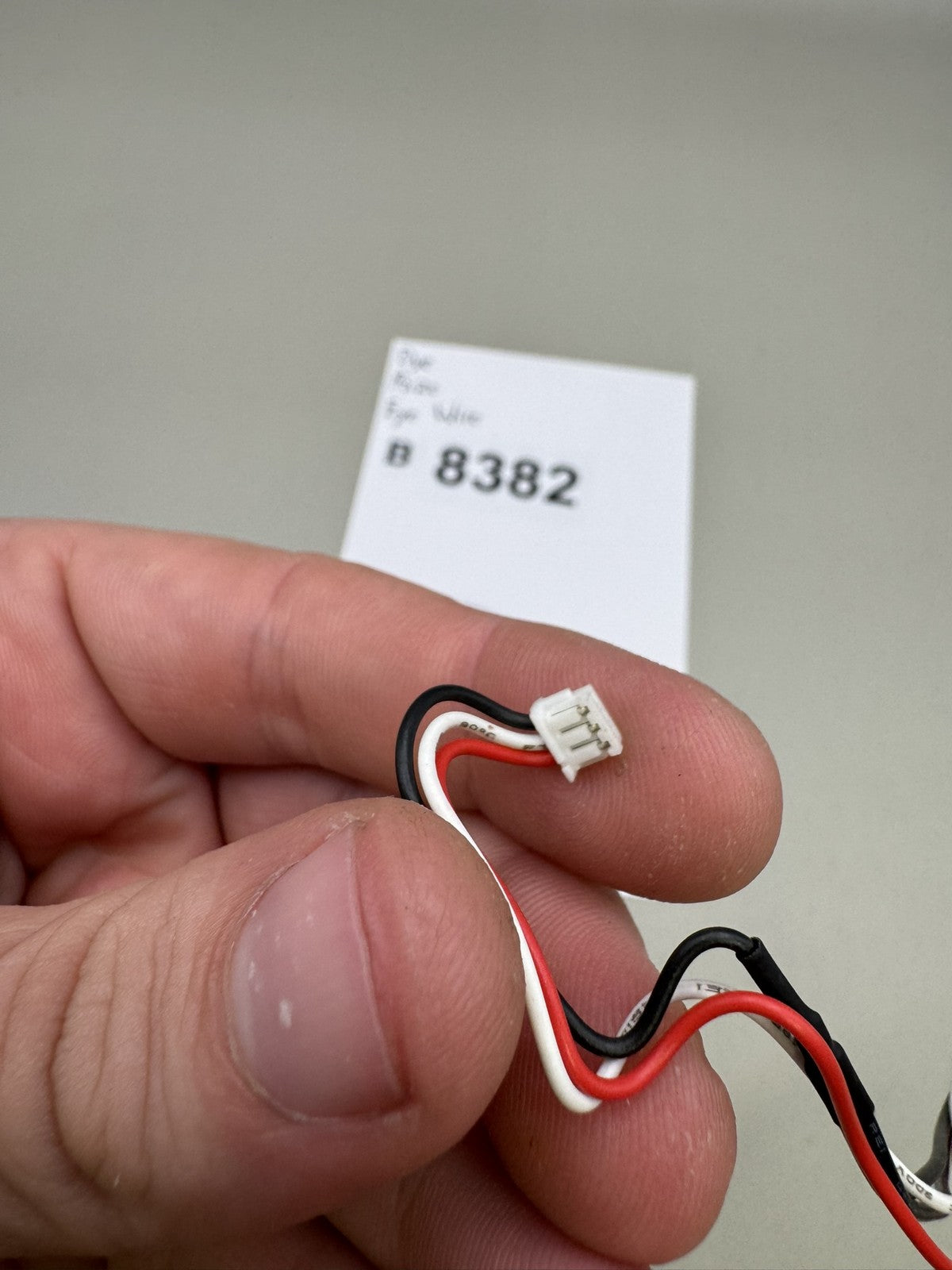 Dye Rize Eye Wire