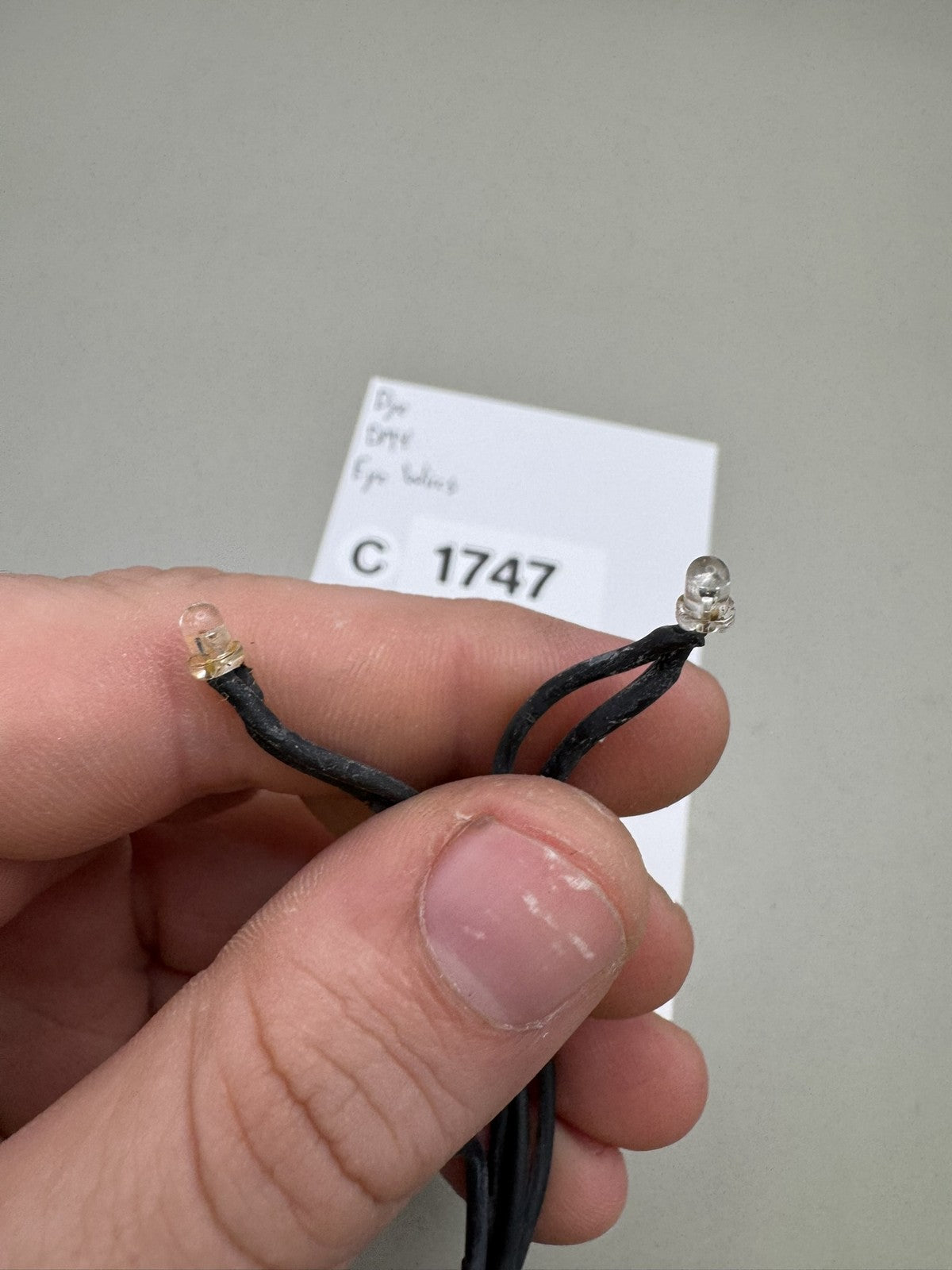 Dye DM4 Eye Wires