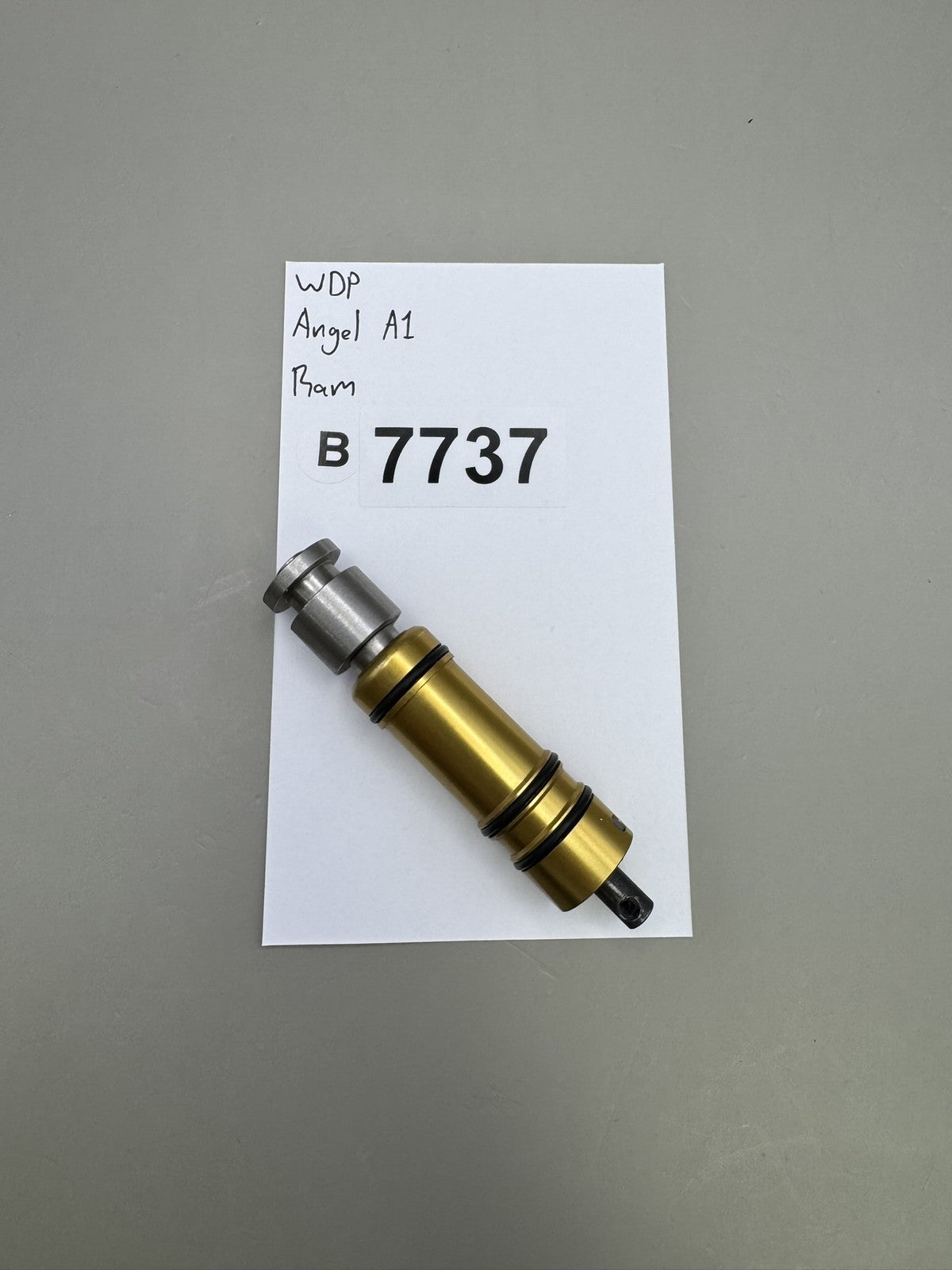 WDP Angel A1 Ram Gold