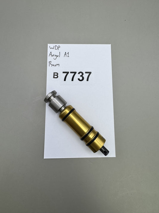 WDP Angel A1 Ram Gold