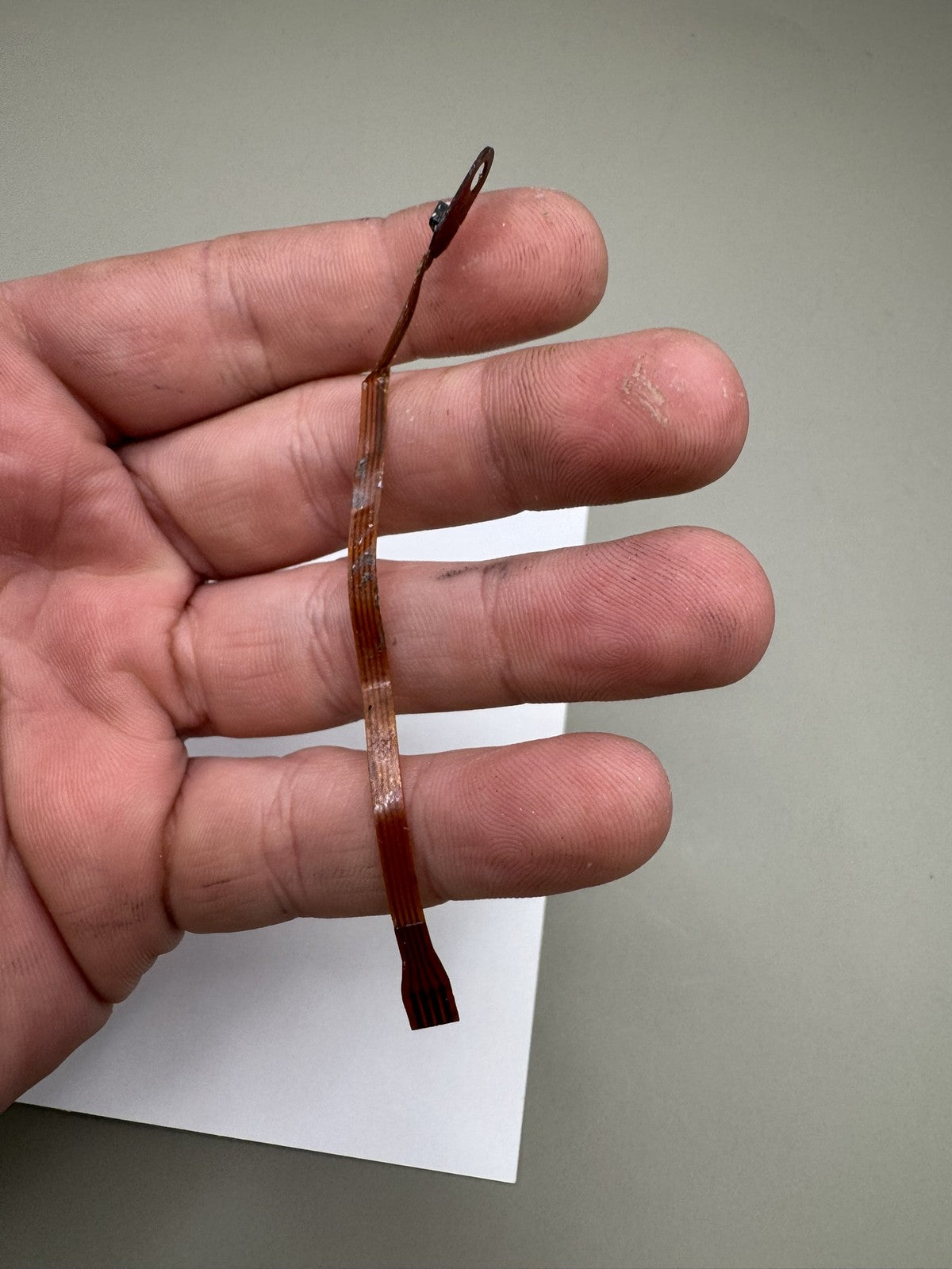 Smart Parts Nerve Eye