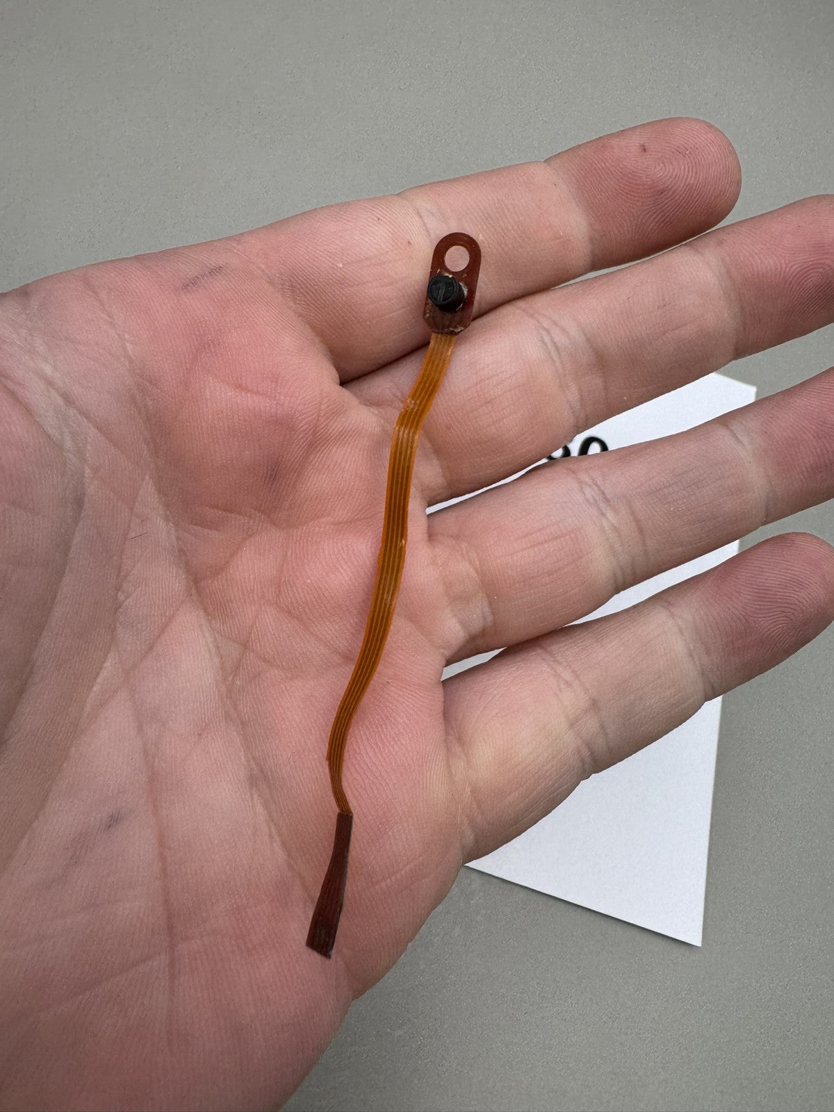 Smart Parts Shocker SFT Eye Wire