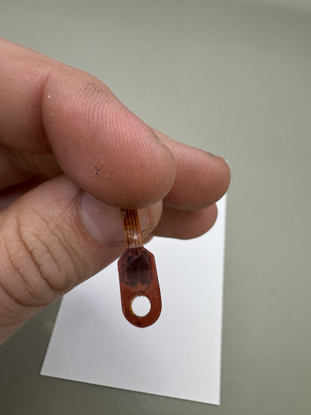 Smart Parts Nerve Eye Ribbon