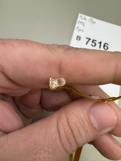 Proto / Dye PM6 Eyes Ribbon Cable Assembly