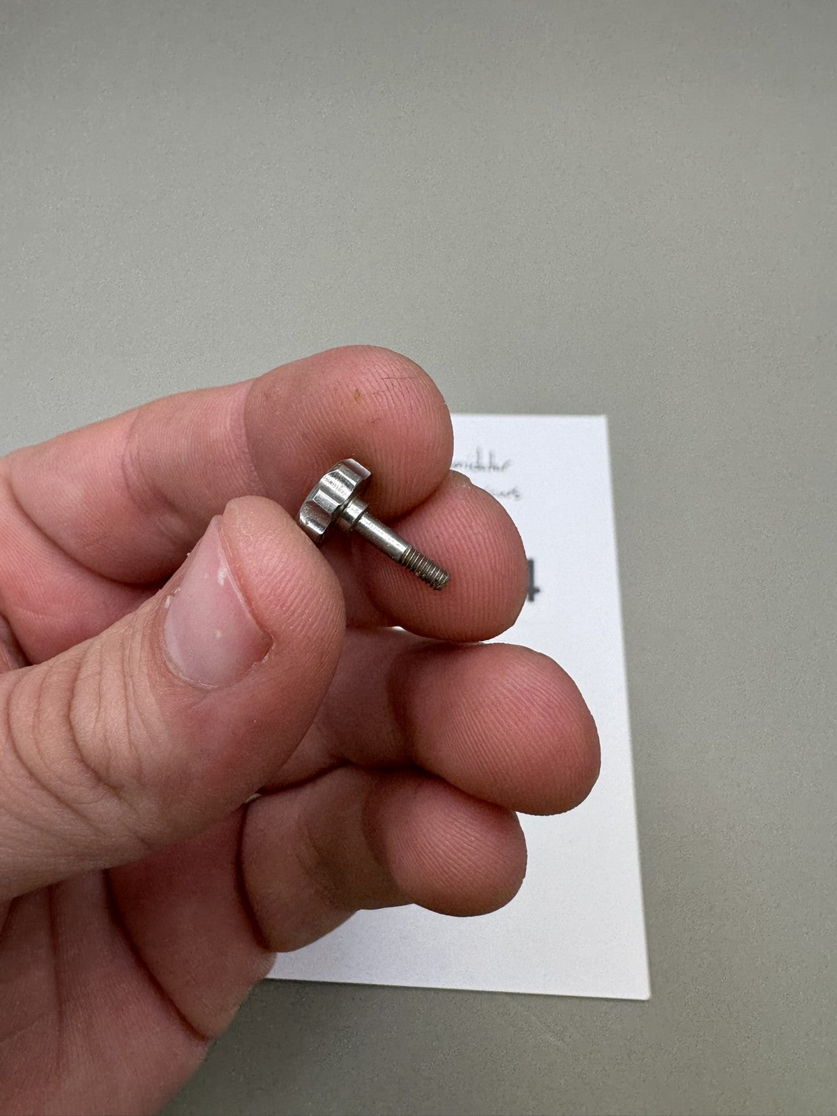Bob Long 2K2 2K5 Intimidator CCM Eye Cover Screws Silver Aluminum