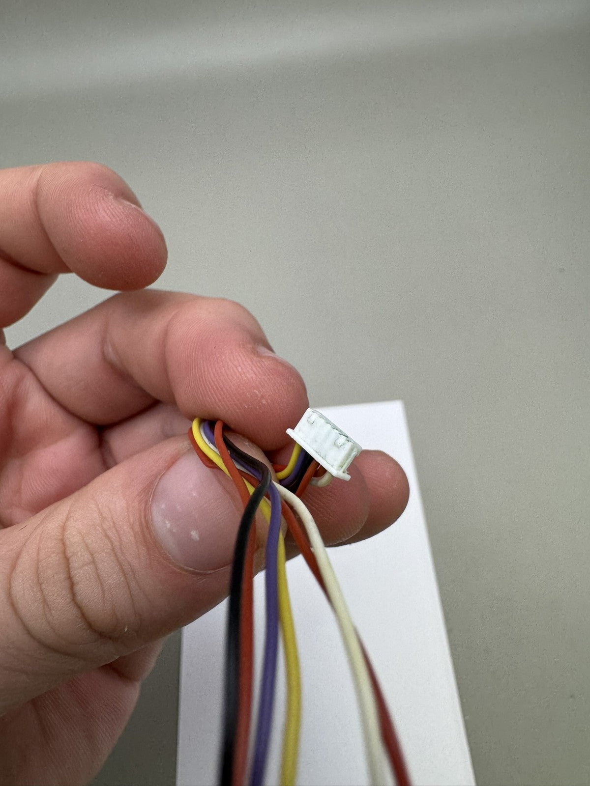 Bob Long G6R Eye Wire Harness