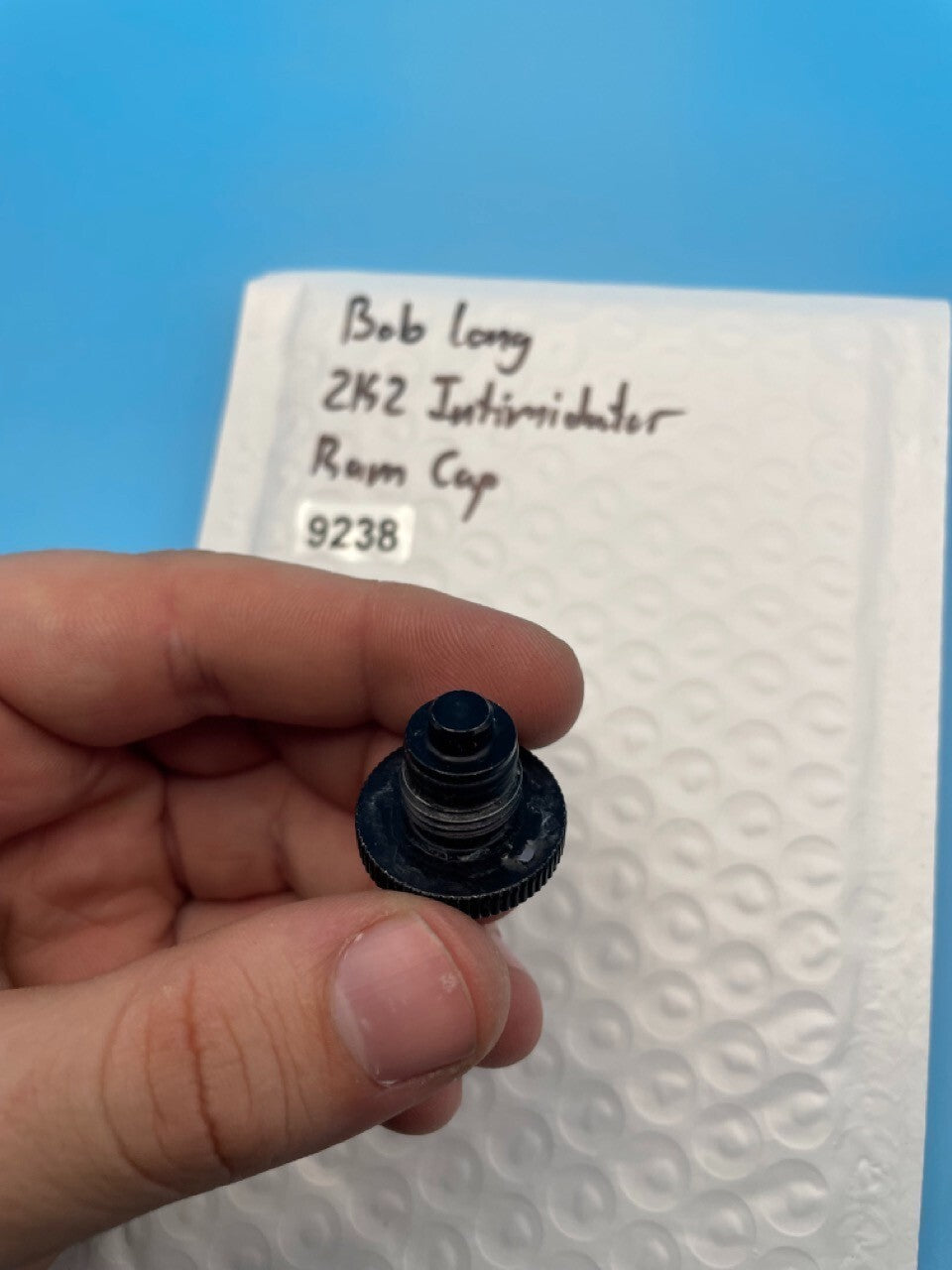 Bob Long 2K2 Intimidator Ram Cap