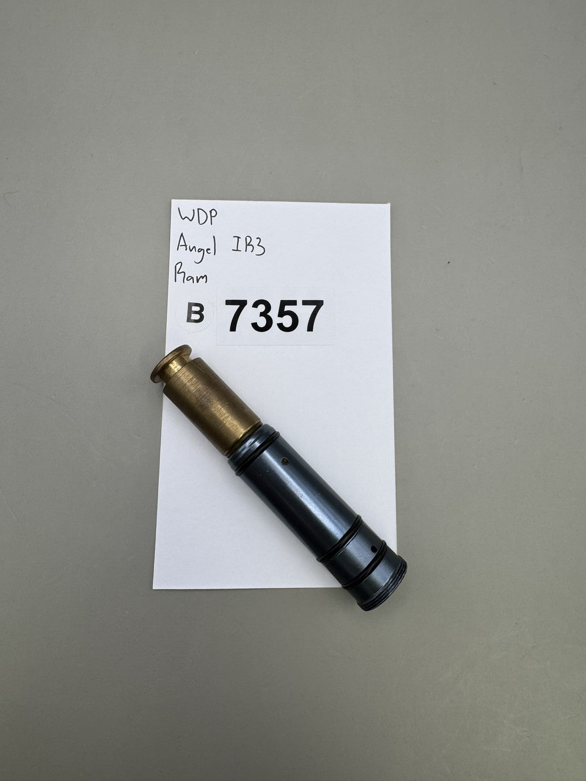 WDP Angel IB3 Ram Silver