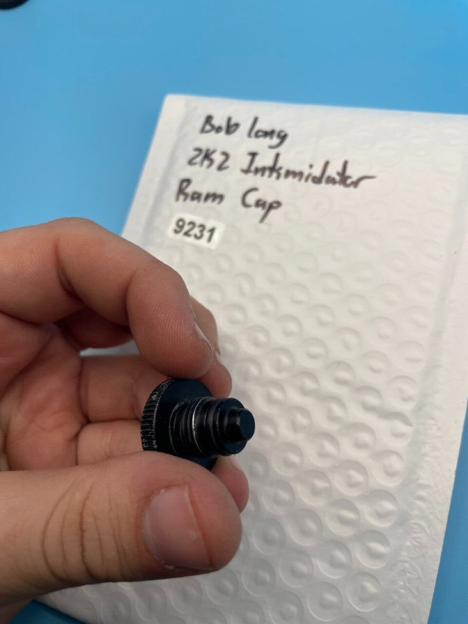 Bob Long 2K2 Intimidator Ram Cap