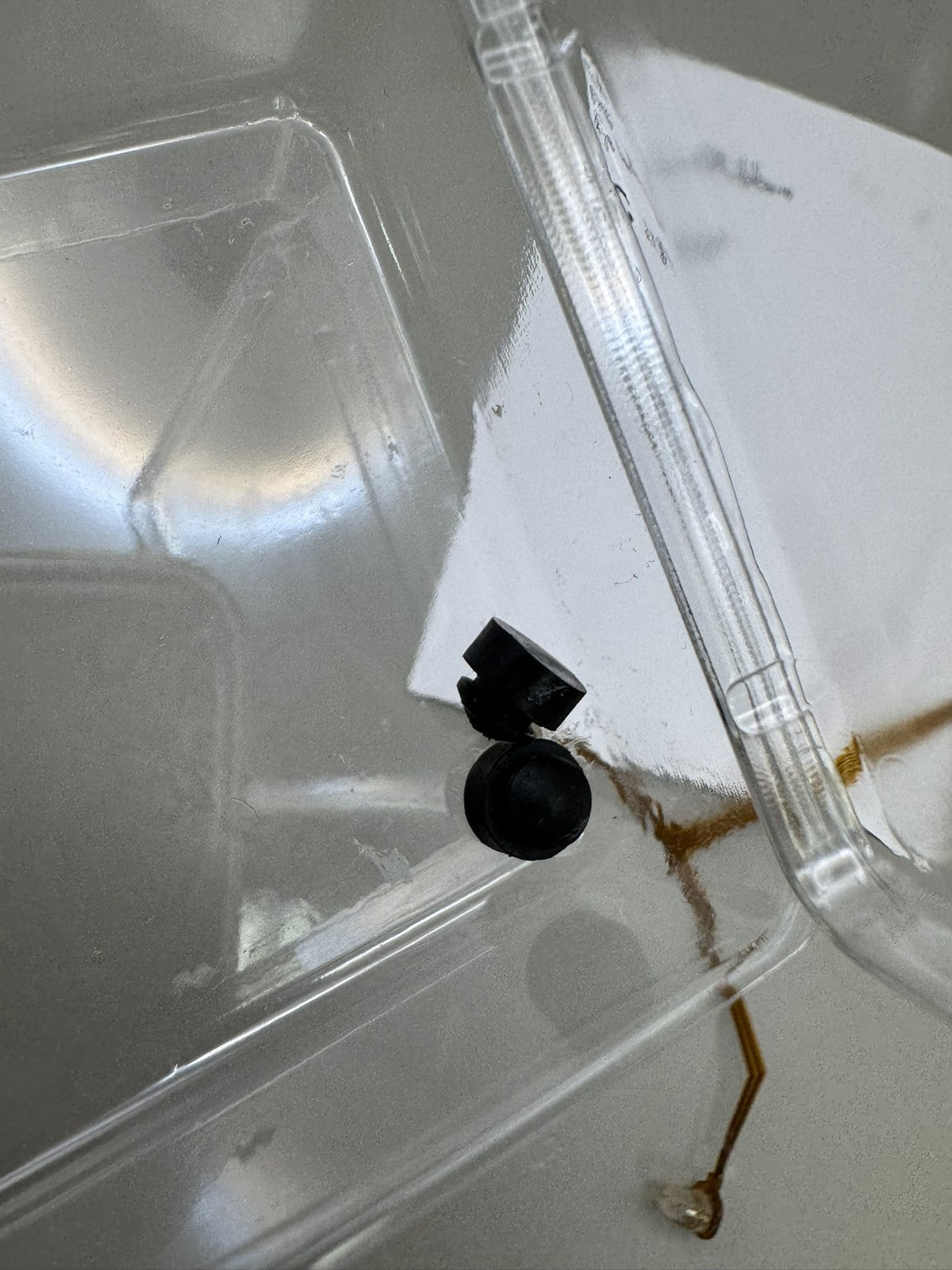 Proto PM6 Eye Wire/Ribbon