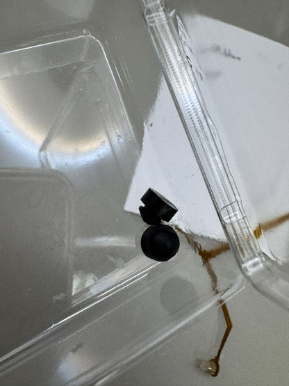 Proto PM6 Eye Wire/Ribbon
