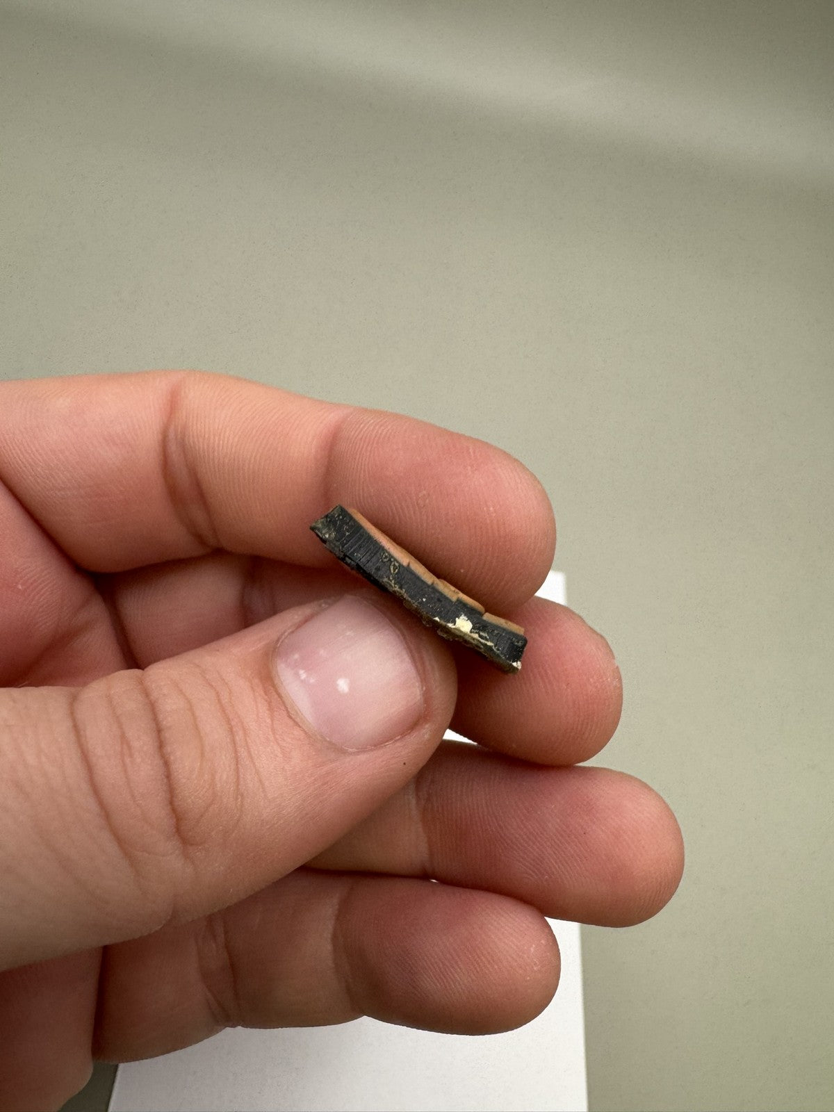 Bob Long Vice Button Cover