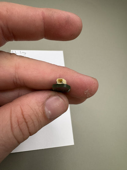 Bob Long Vice /Protoge 4C Eyes
