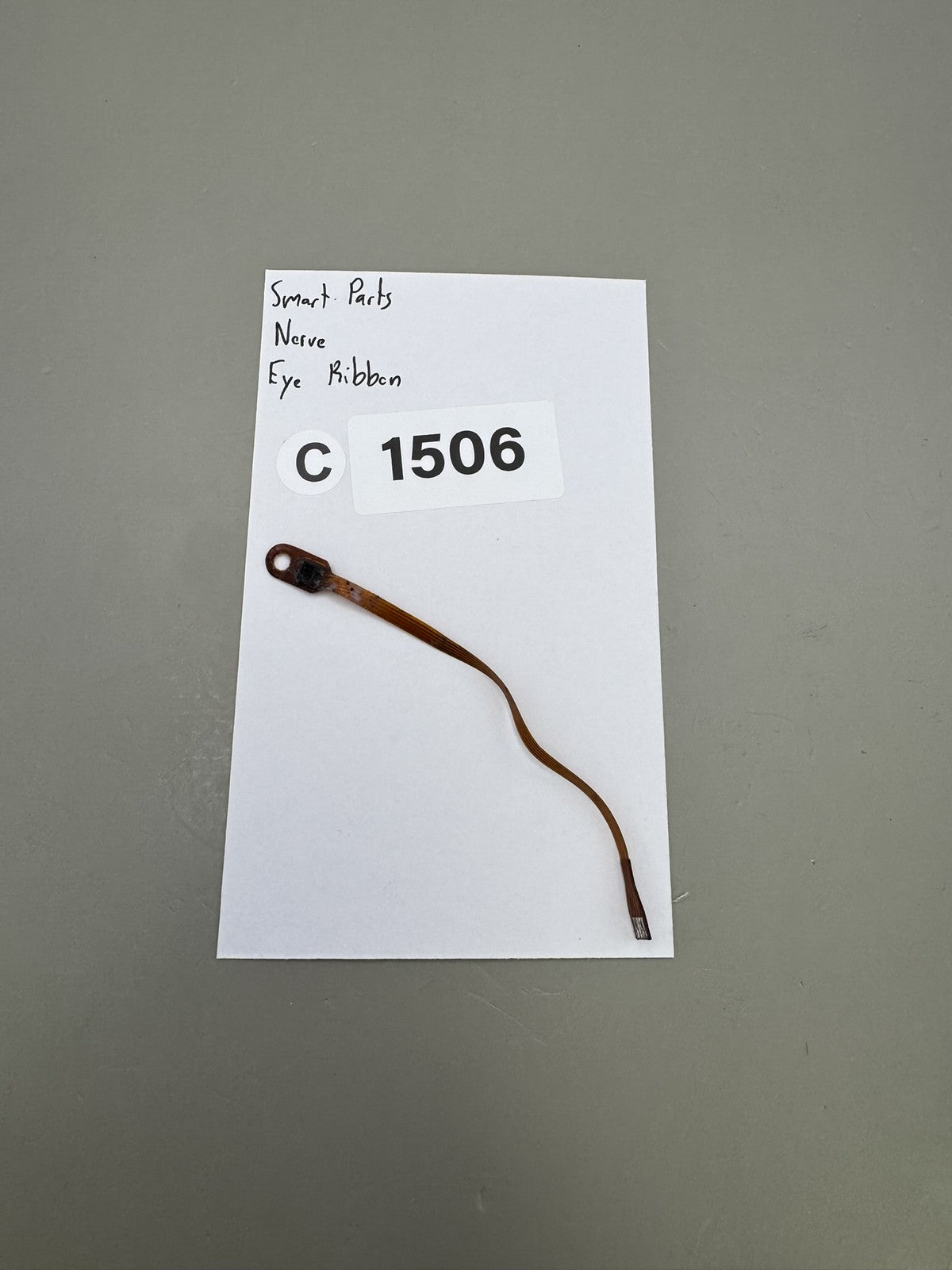 Smart Parts Nerve Eye Ribbon