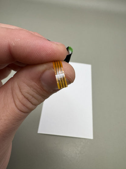Proto PM6 Eye Wire/Ribbon