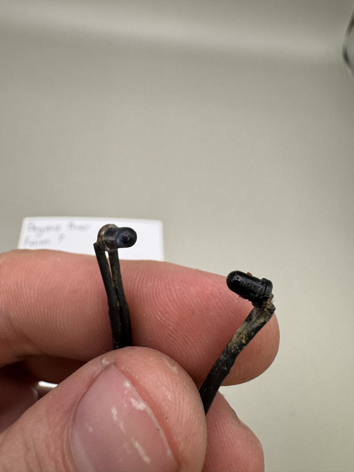 Dangerous Power Fusion 7 Eye Wires
