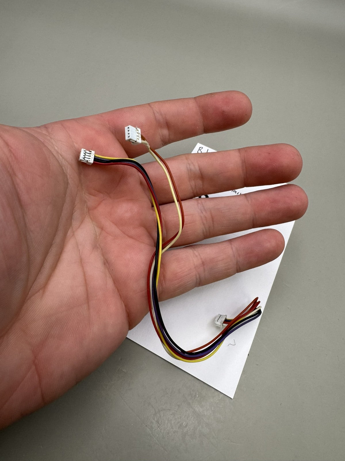 Bob Long G6R Eye Wire Harness