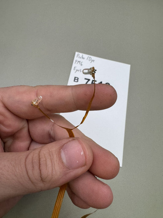 Proto / Dye PM6 Eyes Ribbon Cable Assembly