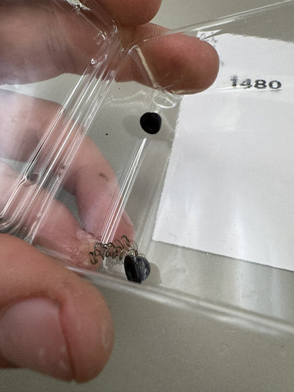 Proto Rail Detents