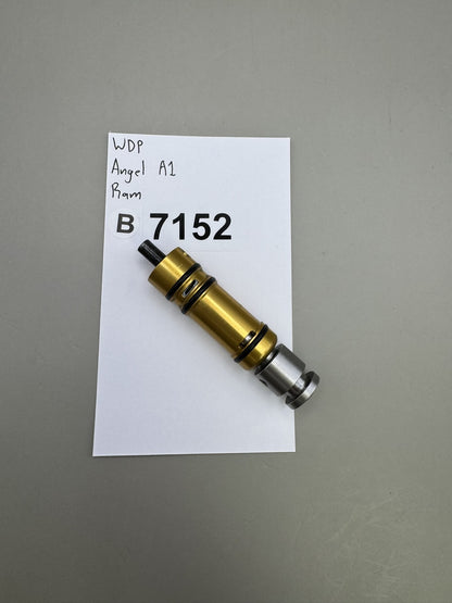 WDP Angel A1 Ram Gold