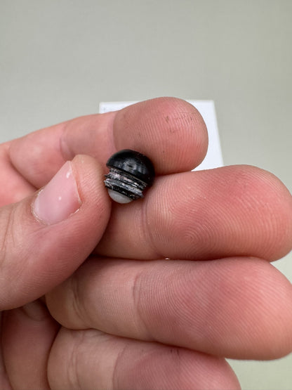 Smart Parts Impulse Detents Black