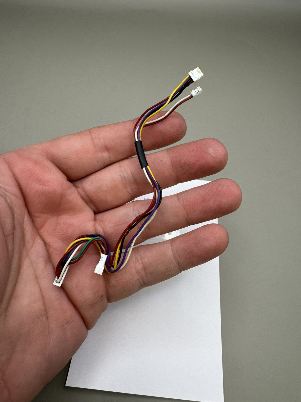 Bob Long G6R Eye Wire Harness