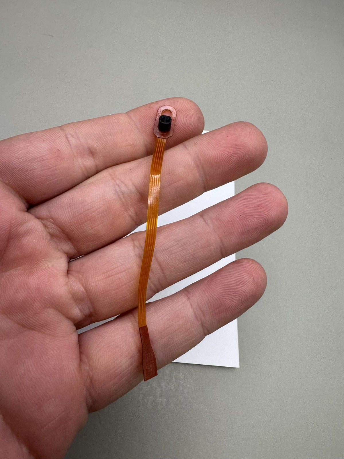 Smart Parts Shocker SFT Eye Wire