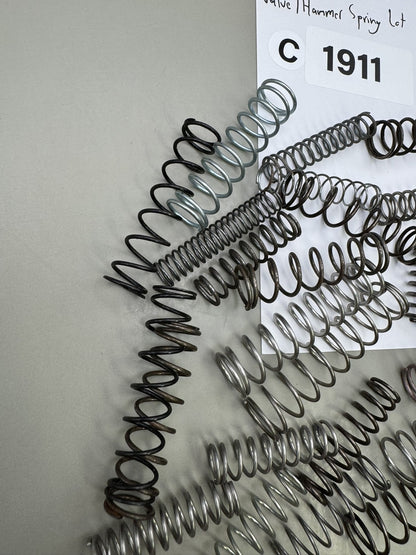WGP Autocucher Valve/Hammer Spring lot