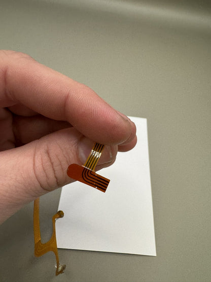 Proto Rail Eye Wire