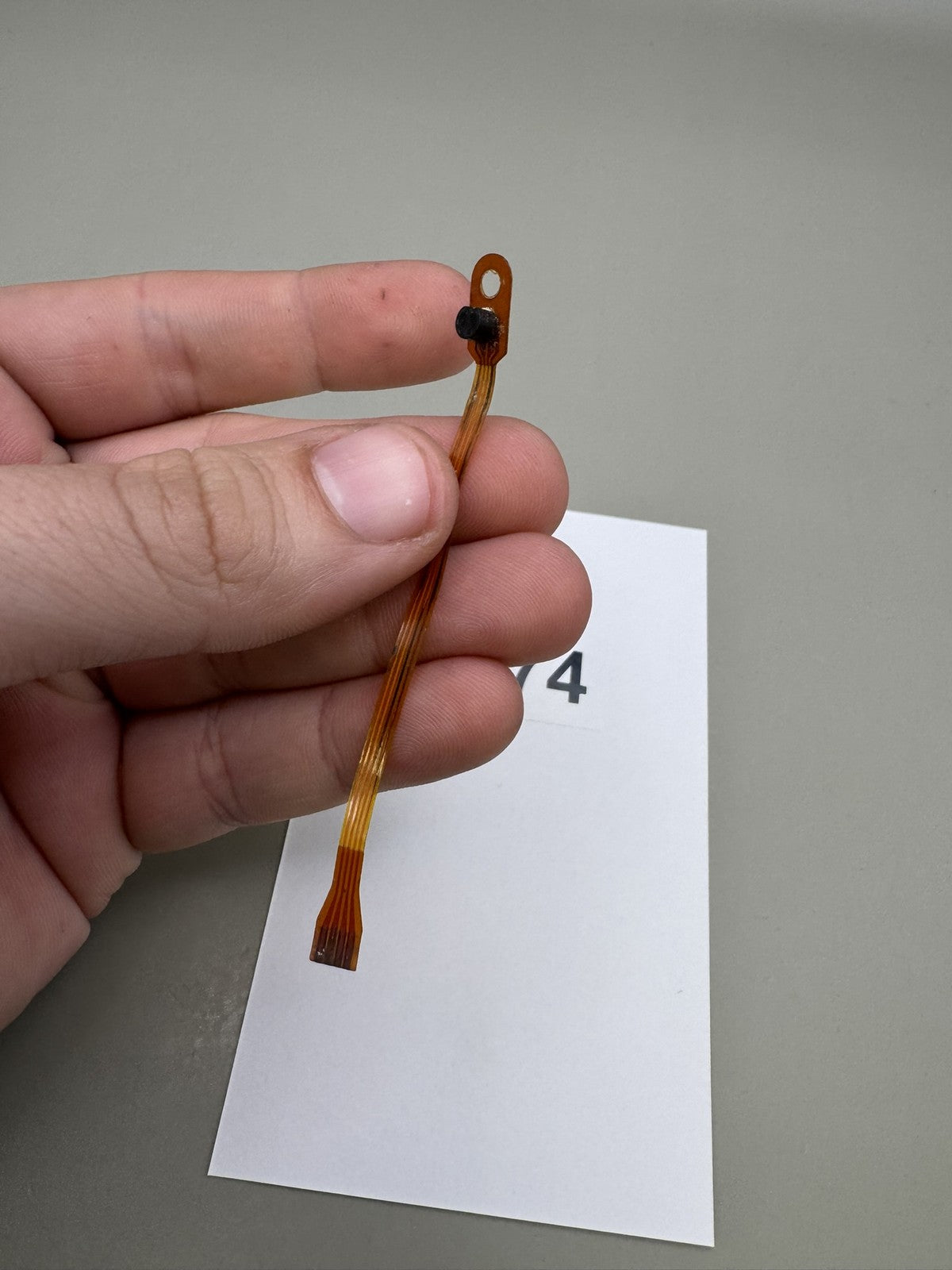 Smart Parts Shocker SFT Eye Wire