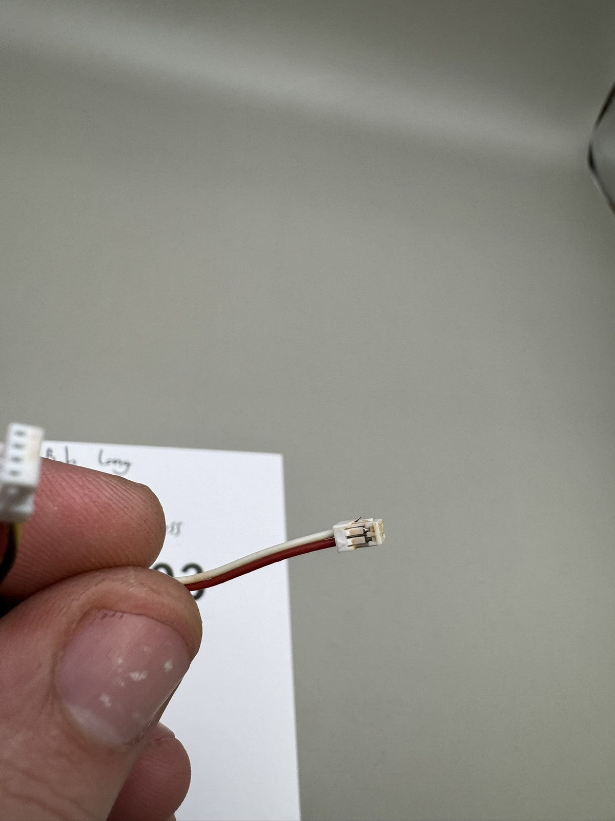 Bob Long Protoge Eye Wire Harness