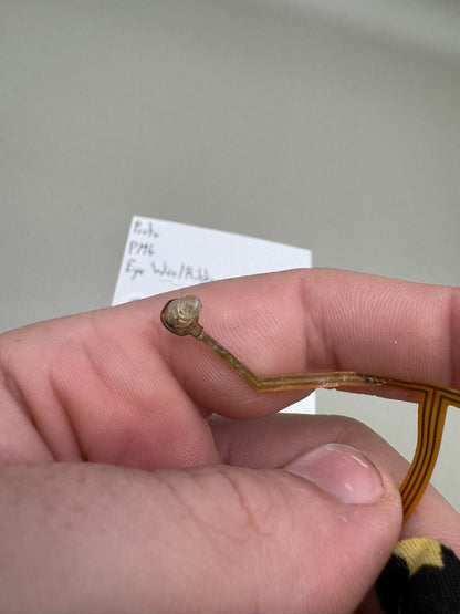 Proto PM6 Eye Wire/Ribbon