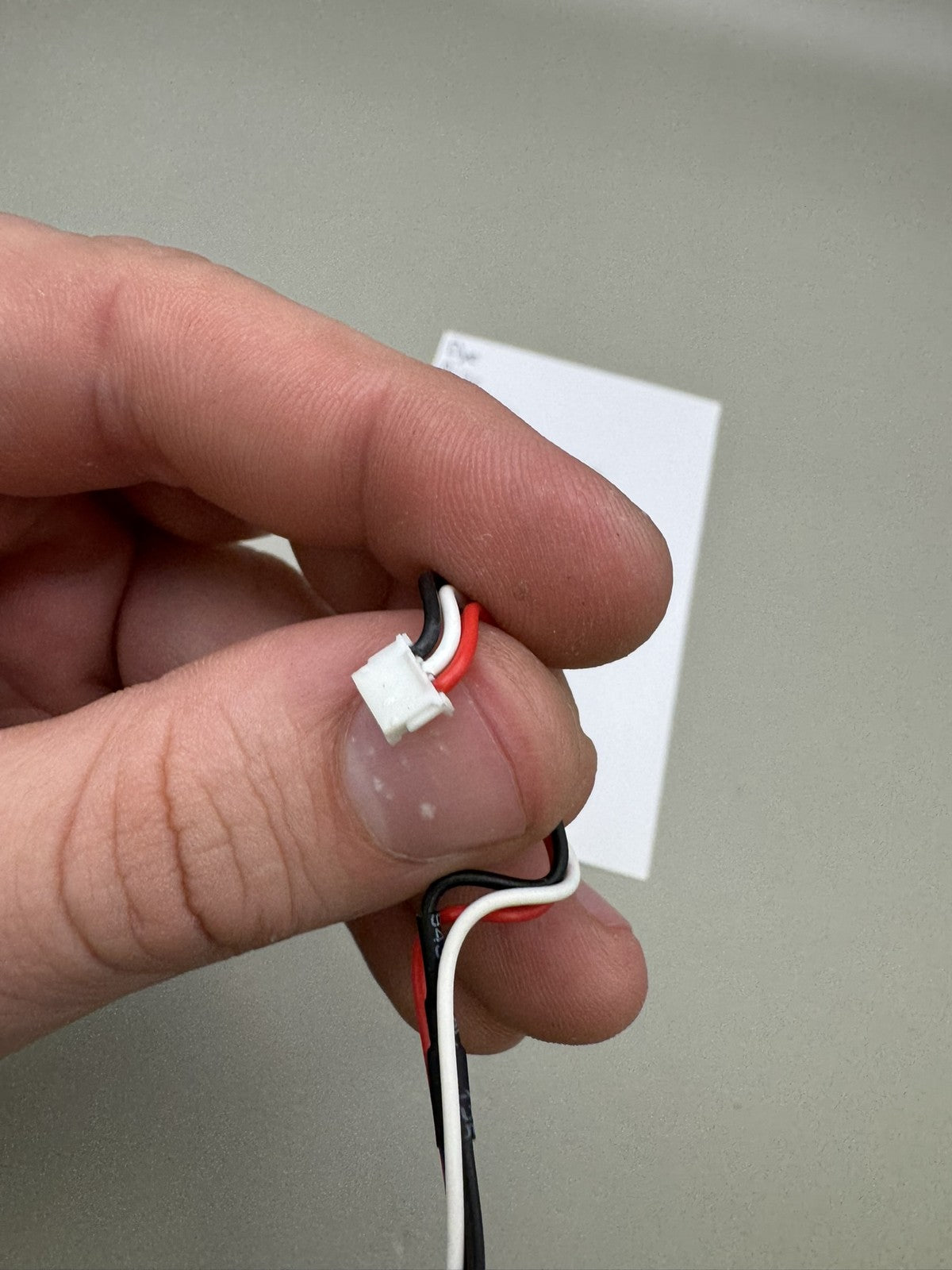 Dye Rize Eye Wire