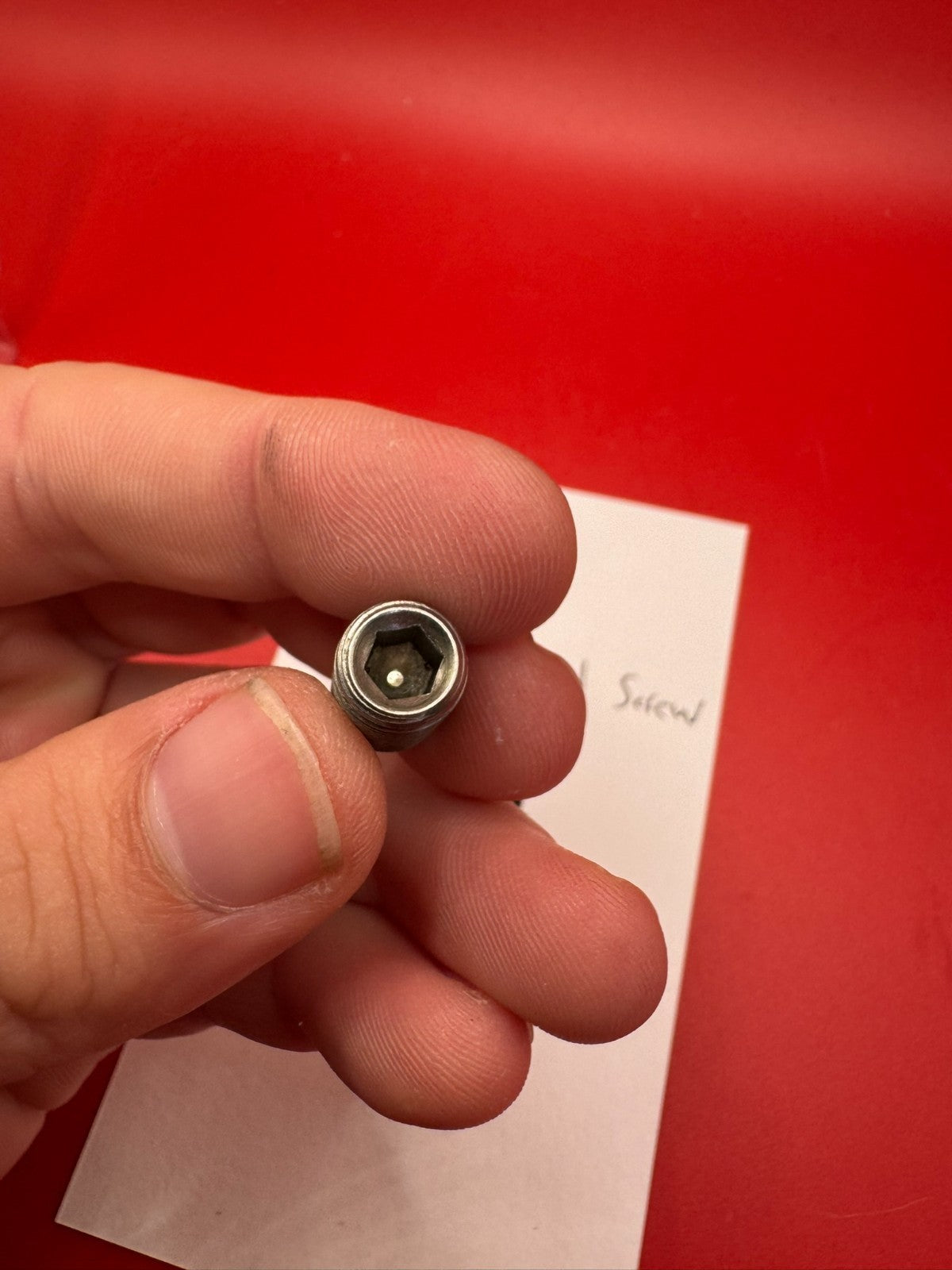 Bob Long Torpedo Spring, Plate and Screw Silver