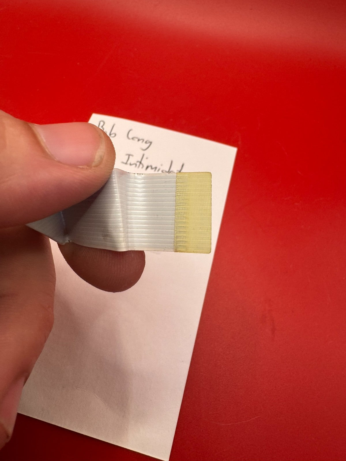 Bob Long 2K2 Intimidator LCD Screen