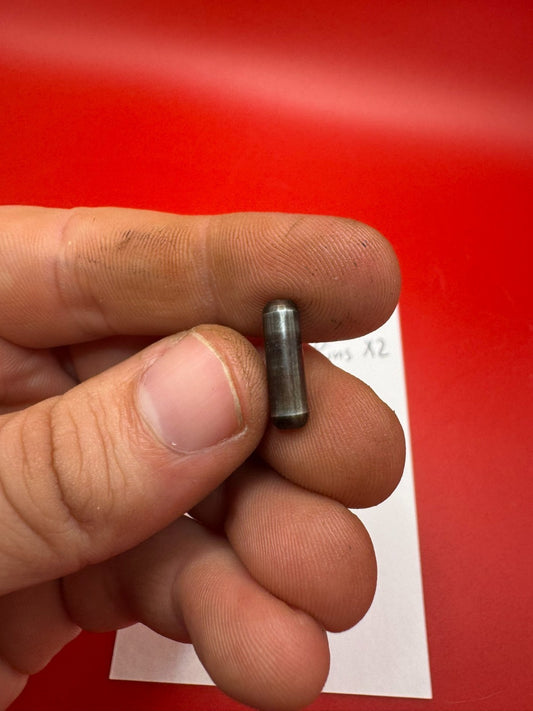 AGD Automag Classic Sear Pins x 2