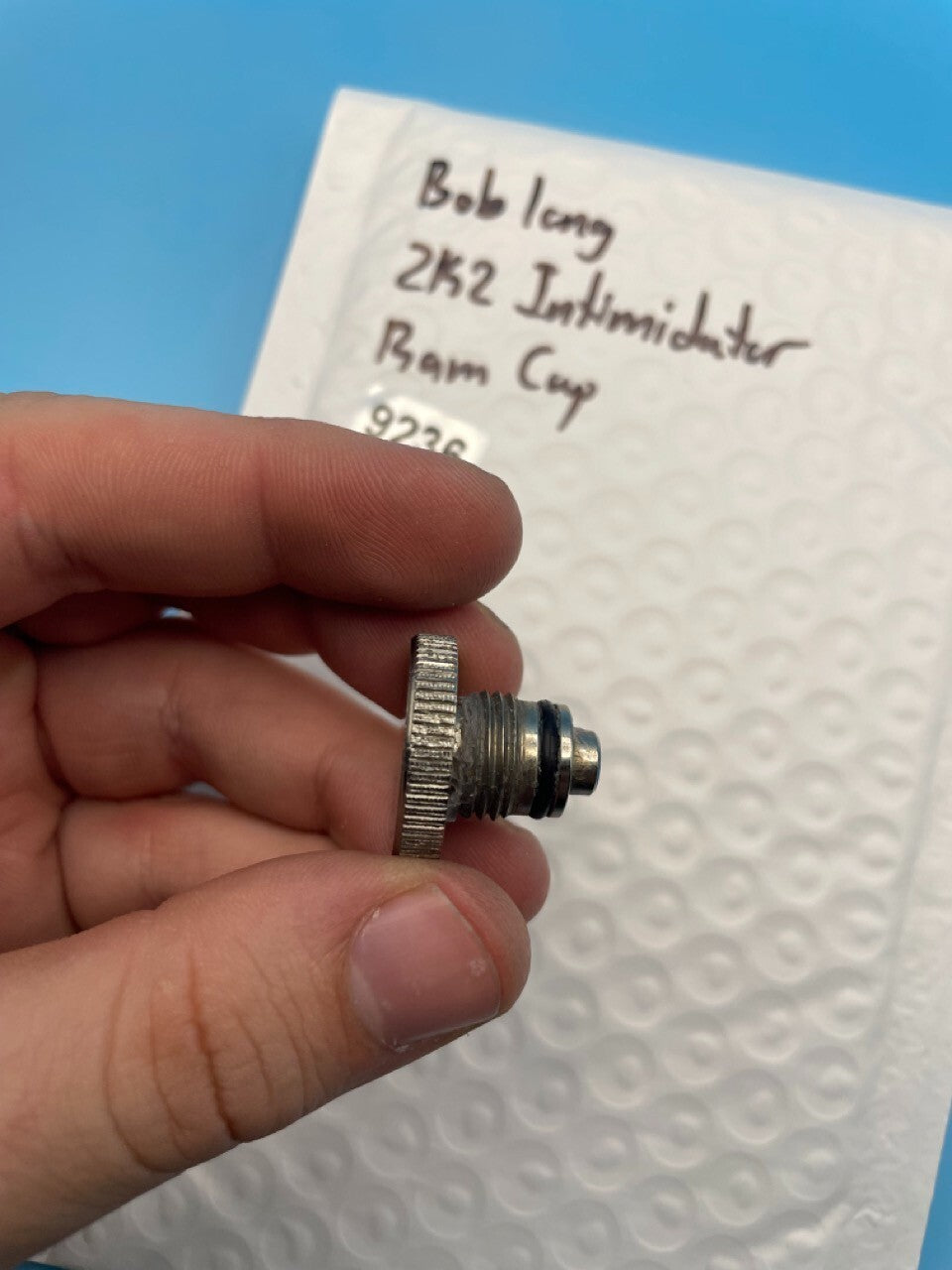 Bob Long 2K2 Intimidator Ram Cap