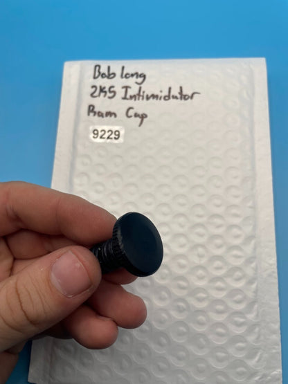 Bob Long 2K5 Intimidator Ram Cap