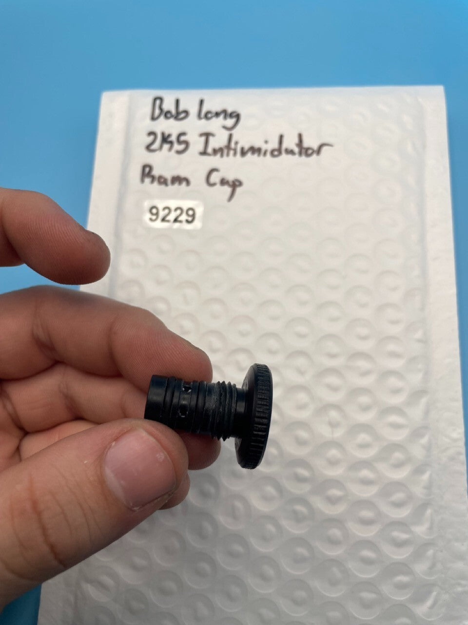 Bob Long 2K5 Intimidator Ram Cap