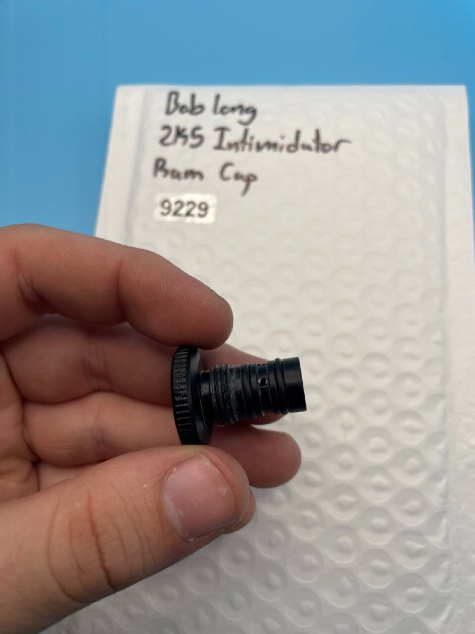 Bob Long 2K5 Intimidator Ram Cap