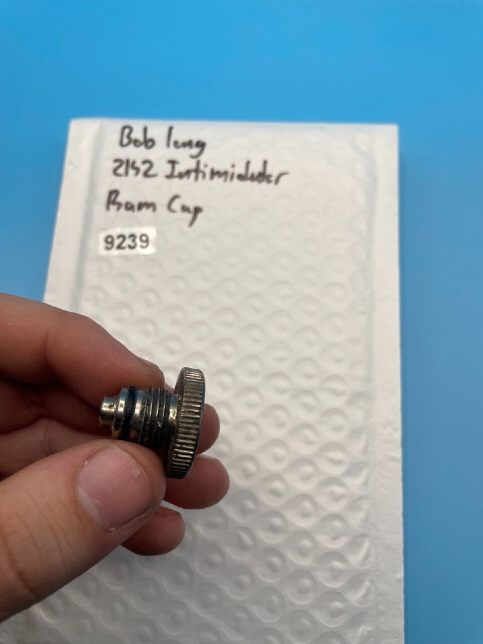 Bob Long 2K2 Intimidator Ram Cap